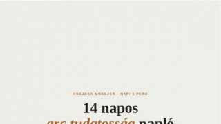 Nyomtatható 14 napos naptár + arc-tudatosító segédanyag